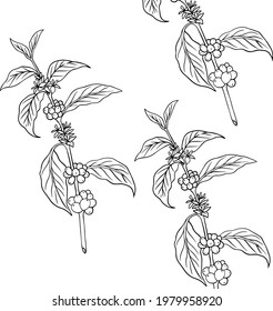 natural coffee with black lines and blocks for background and design elements. Draw a coffee plant pattern for a fabric print. coffee posters, coffee packaging designs.