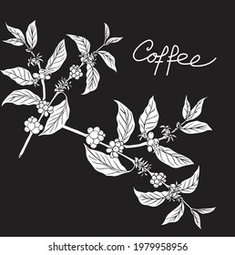 natural coffee with black lines and blocks for background and design elements. Draw a coffee plant pattern for a fabric print. coffee posters, coffee packaging designs.