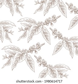 natural coffee with lines for background and design elements. Draw a coffee plant pattern for a fabric print. coffee posters, coffee packaging designs.