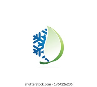 Plantilla de diseño del logotipo de nieve fría natural