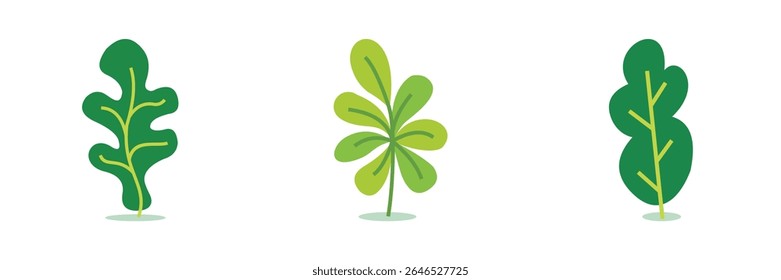 Coloridas ilustraciones botánicas planas que muestran varias plantas y hojas. Ideal para App, impresiones y trabajos de diseño contemporáneo.