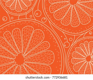 Natural color stylized linear background with citrus in section. Hand-drawn doodling background. Vector illustration.