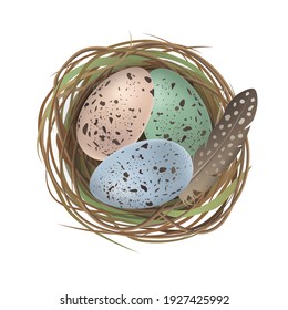 Natural colored Easter eggs, feather in the quail nest in realistic style. Top wiew. Vector illustration isolated on white background. Easter rustic design element for banners, greeting card.