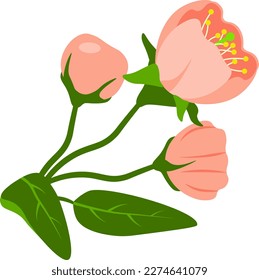 Natural composition with blooming spring inflorescence drawing on transparent background vector