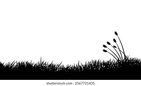 natural concept background, abstract silhouette of wild plants and grass, white background with copy space