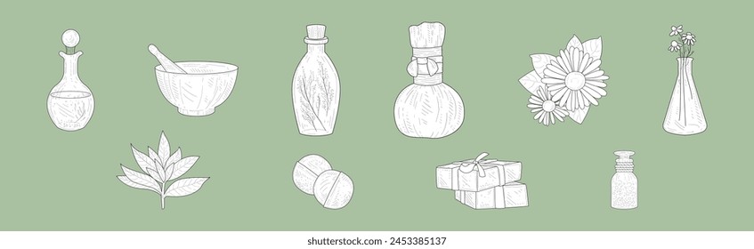 Natural Cosmetic and Spa Essential Ingredient Hand Drawn Vector Set
