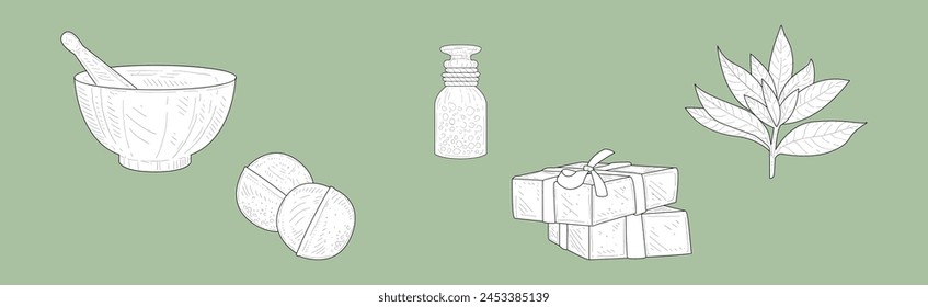 Natural Cosmetic and Spa Essential Ingredient Hand Drawn Vector Set