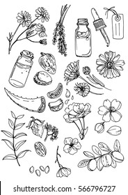 Natural Cosmetics And Medicine. A Set Of Herbs And Flowers Painted Black Line On A White Background. Chamomile, Lavender, Jars, Shea, Aloe Vera, Shea Butter, Flax, Cherry, Calendula, Jojoba