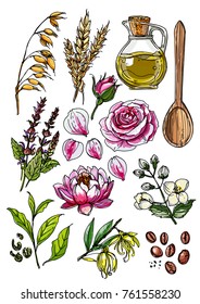 Natural cosmetics and medicine. A set of herbs and flowers painted black line on a white background. Vector sketch of botany. Oil, sage, oats, wheat, vines, lotus, green tea, ylang-ylang, jasmine