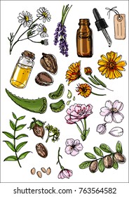 Natural Cosmetics And Medicine. A Set Of Herbs And Flowers Painted Black Line On A White Background. Chamomile, Lavender, Jars, Shea, Aloe Vera, Shea Butter, Flax, Cherry, Calendula, Jojoba