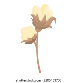 Natural cotton icon cartoon vector. Organic plant. Art plant