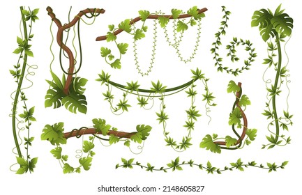 Las travesuras naturales establecen ilustraciones planas vectoriales. Colección de diferentes formas hojas verdes ramas de madera vegetación selvática tropical. Naturaleza exótica valla cuerda de hiedra con frondosas plantas forestales de escalada