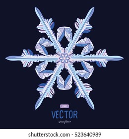 Natural crystal snowflake, vector illustration