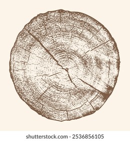 Natürliches Schnittholz Baumstruktur, Ringmuster von Wachstumsschichten. Vektorbild.