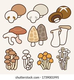 Natural cute eatable mushrooms: cremini, white button, portobello, shitake, morel, eringi, shimeji, loose, nameko, enki. Clean food forest product icon vector illustration flat design drawing.