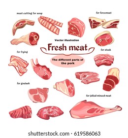 Natural cutting pork meat parts set for various dishes and meals cooking in sketch style isolated vector illustration