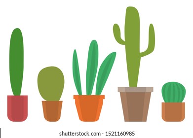 Natural decoration for home vector, isolated plant in pot, floral decor. Flourishing flora with thorns, decor. Herbal botany, potted houseplant set illustration in flat style design for web, print