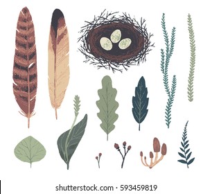 Natural decorative elements. Botanical illustrations. Vector clip art.