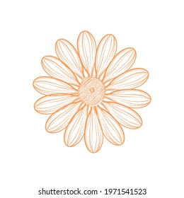 natural and decorative flower icon