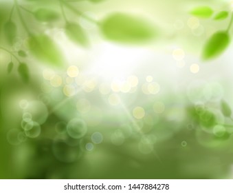 Natural defocus background with plants, trees and bokeh. Vector illustration