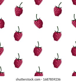 Natural delicious juicy organic berries seamless pattern with raspberries, vector color illustration on white background, isolated