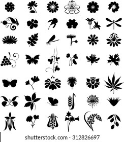 Natural design elements