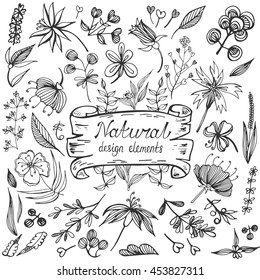 Natural design elements big collection. Hand drawn vector illustration. Set of vintage flowers and leaves in doodle style.