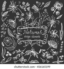 Natural design elements big collection. Hand drawn vector illustration. Set of vintage flowers and leaves in doodle style.