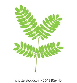 Natural design inspired by tropical plant leaves, neatly arranged aesthetic leaves.