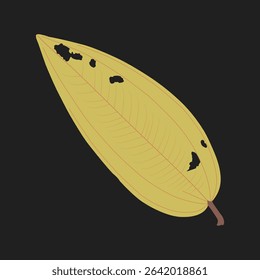 Natural design of perforated leaves eaten by organisms, leaf design inspired by tropical plants.