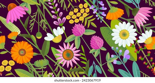 Natural design with various medicinal flowers and herbs on a dark background. Seamless pattern.