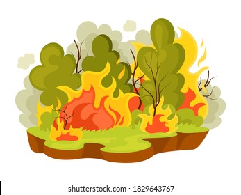 Natural disasters forest fires. Landscape burning forest fires with burning trees. Cataclysm, catastrophe, destruction of nature. Wood in flame, dry weather drought danger cartoon vector illustration