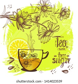 Natural drawings camomile Decorative  Design element for packaging, Invitation cards decoration, wrapping, textiles, paper.