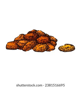 natural dried fruit hand drawn. organic nutrition, dessert vegetarian, ingredient delicious natural dried fruit vector sketch. isolated color illustration