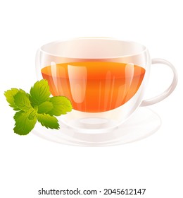 Natural drink with green herb peppermint leaf isolated on white background. Glass glossy double wall teacup vector illustration.