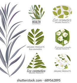 Natural, eco cosmetics logo set with hand drawn, sketch style leaves and flowers, vector illustration on white background. Round, hexagon and triangular logos with hand drawn leaves and flowers