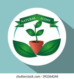 Natural and eco design