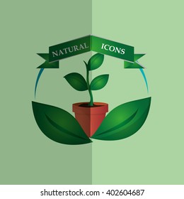 Natural and eco design, vector illustration