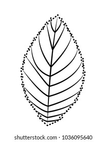 natural eco leaf natural decoration