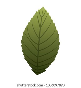 natural eco leaf natural decoration