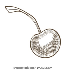 Natural and ecologically grown cherry berry. Isolated icon, vegan and vegetarian food. Ingredient for cooking and baking confectionery and pastry. Monochrome sketch outline, vector in flat style