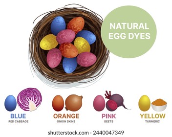 Natural egg dyes. Blue, yellow, pink, and orange natural vegetable dyes for the Easter eggs. Vector illustration. Illustration for kids. 