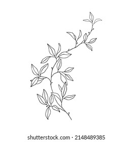 elemento natural, gráficos.flor gráficos vectoriales en blanco y negro. una ramita con flores. marco de ilustración de bodas de plantas y flores. marco gráfico de elementos naturales. marco de boda hecho 