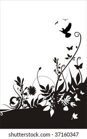 natural elements decoration