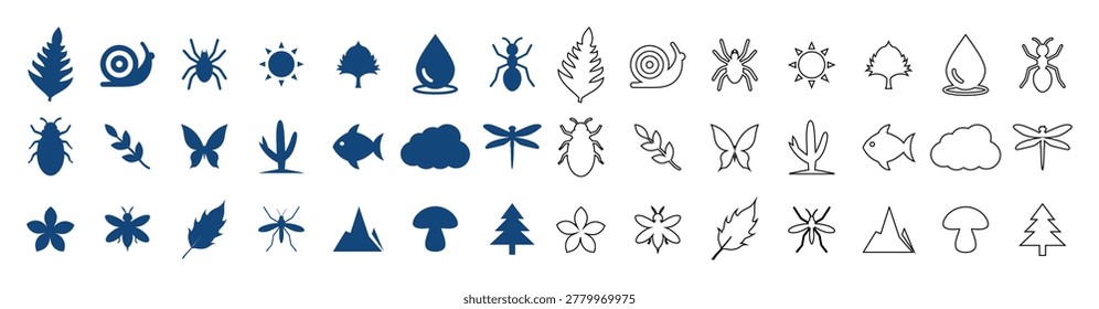 Natural elements featuring leaves insects animals and weather symbols for outdoor design.