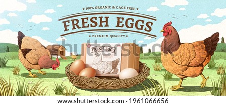 Natural farm product ad banner in engraving design with color. Happy hen walking around a nest with egg box mock up. Concept of free range chicken and fresh farm egg.