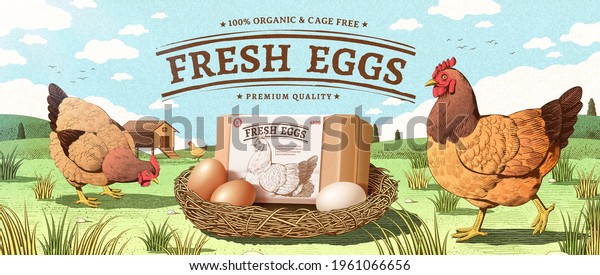 Natural farm product ad\
banner in engraving design with color. Happy hen walking around a\
nest with egg box mock up. Concept of free range chicken and fresh\
farm egg.