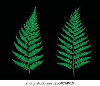 Natural Fern Leaf Illustration Ideal for Branding and Environmental Graphics, Classic Fern Leaf Design with Clean Lines and Rich Green Colors