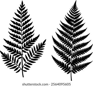 Natural Fern Leaf Illustration Ideal for Branding and Environmental Graphics