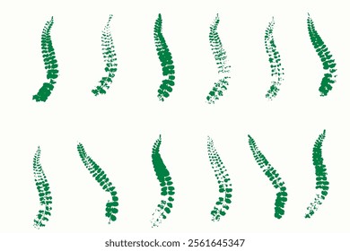 Natural fern leaves imprint, Grange style, Vector, Isolated, Decorative elements for design